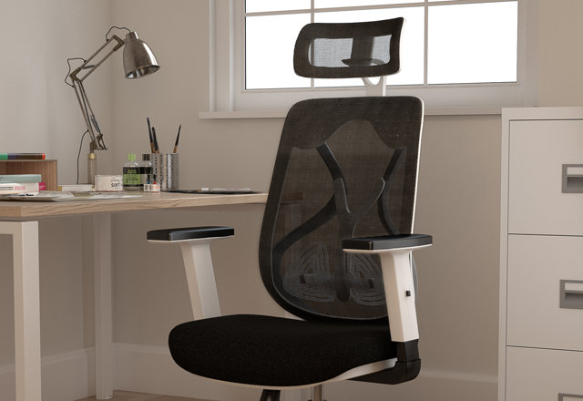 Ergonomic Office Chairs