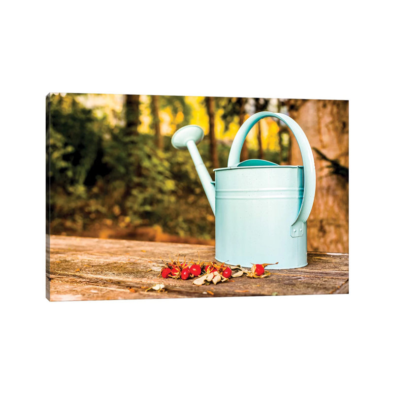 Countryside Watering Can And Wild Apples by Nik Rave - Gallery-Wrapped Canvas Giclée on Canvas, Wrapped Canvas