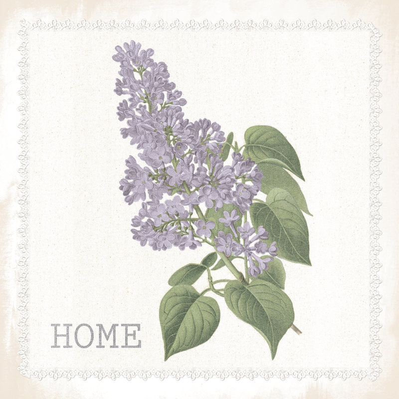 Vintage Home Flower - Wrapped Canvas Print, 122cm H x 122cm W x 3.8cm D