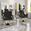 Hydraulic Salon Chair (Single Pack)