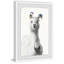 Llama - Single Picture Frame Painting-1111065740