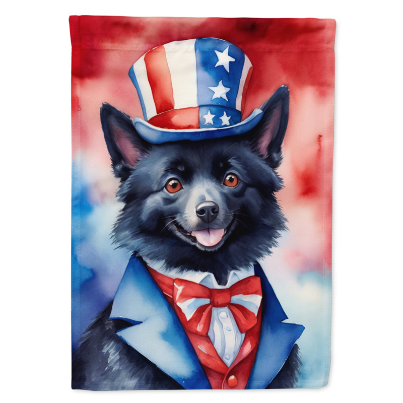 Drapeau patriotique du jardin américain, Schipperke