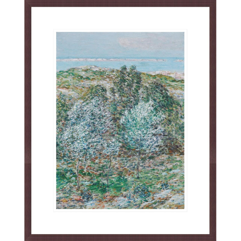«Springtime Vision» par Childe Hassam, impression giclée sur cadre, H 21,75 po x l 17,33 po
