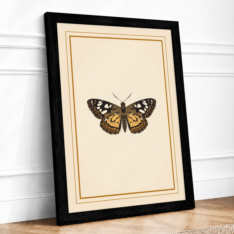 Butterfly Specimen Study Botanical - Print, Black, A3 - 42.0 x 29.7 cm