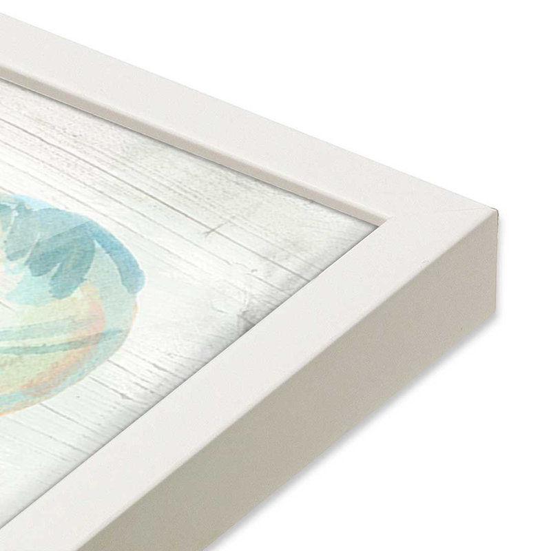 Reproduction d'art «Saltwashed Shells IV» par June Erica Vess, H 12 po x l 12 po, Blanc
