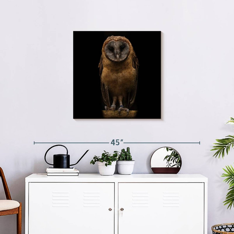 Crowle Ashy Faced Owl, 24" H x 24" W