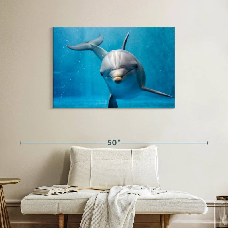 Brampt Friendly Dolphin, 26" H x 39" W