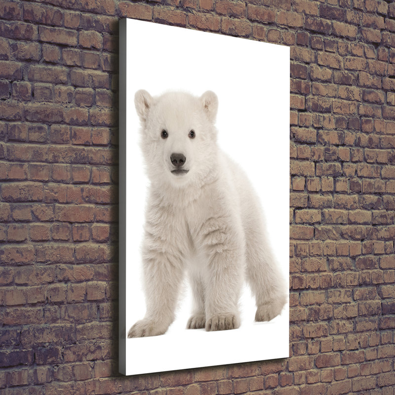 A Polar Bear - Wrapped Canvas Print