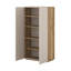 Taydem Standard Dresser / Chest Accent Chest
