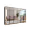 Manufactured Wood Wardrobe-303643206