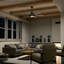 Iras 52'' Ceiling Fan with LED Lights-729148259