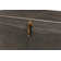 Shagreen Accent