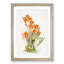 Magnolia Flowers Illustration Tab. 47 by Frederick Sander - Picture Frame Painting Print-55760440-55760442