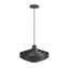 Newport Collection 1 Light Pendant-891183470