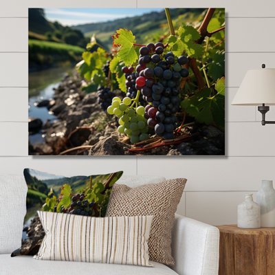" Scenic Vineyard Reflections "