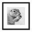 Squirrel Rodent Eating Black White Animal Photo - Single Picture Frame Print