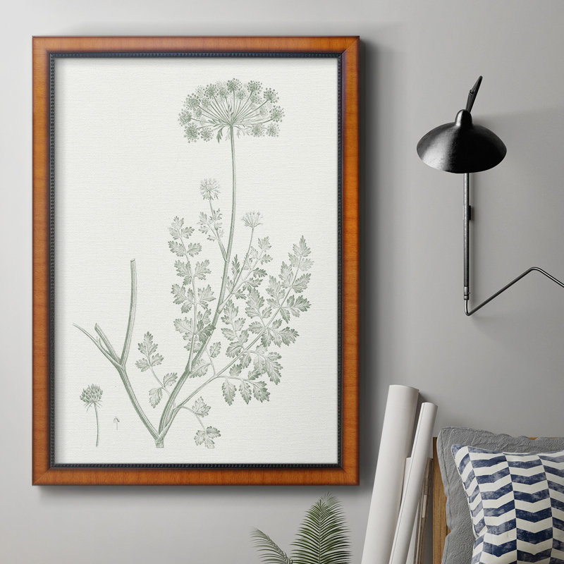 «Botanical Study In Sage V», toile encadrée de qualité supérieure - prête à être accrochée, H 20 po x l 16 po