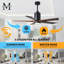 Patricia LED Downrod Ceiling Fan-486067283-486079851