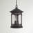 Yeles 3 - Light Outdoor Hanging Lantern and Outdoor Pendant-21557262