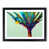 Black Framed selected