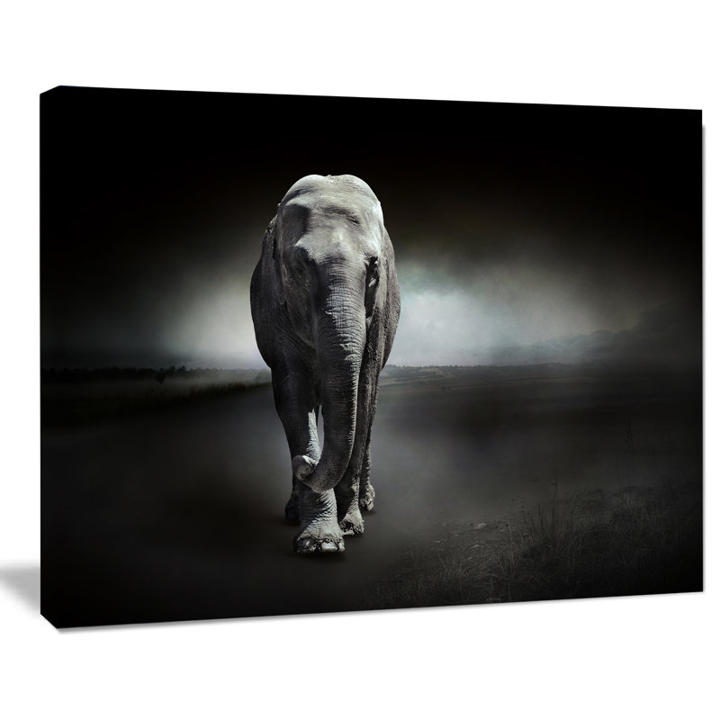 Grand éléphant sur fond noir - impression sur toile tendue, H 12 po x l 20 po