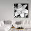 «White Lily 2 Black and White» par Dosta, impression sur toile tendue-29223767