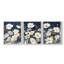 Étude florale Cxxv -Set de 3 estampes giclées encadrées -Prêt à-1792828448-1792828463