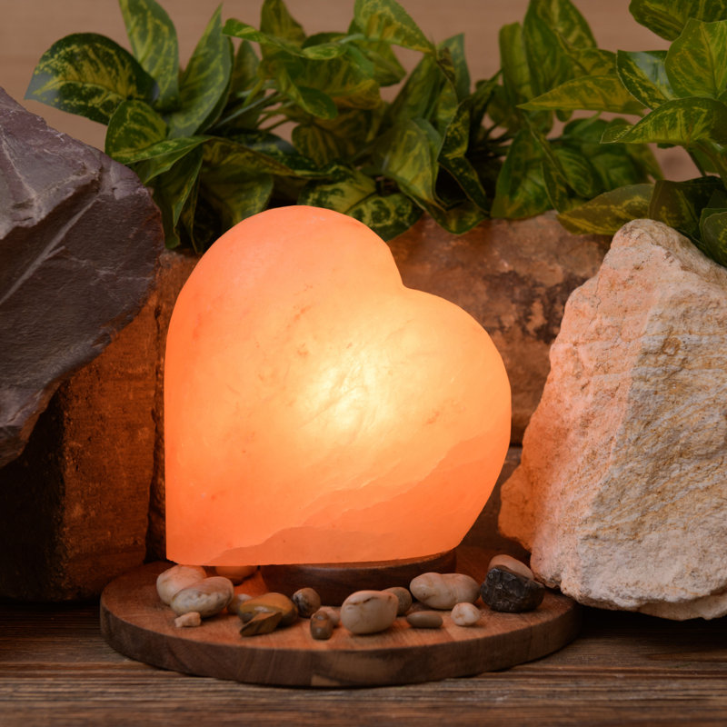 Gerard 5.95 lbs Salt Lamp