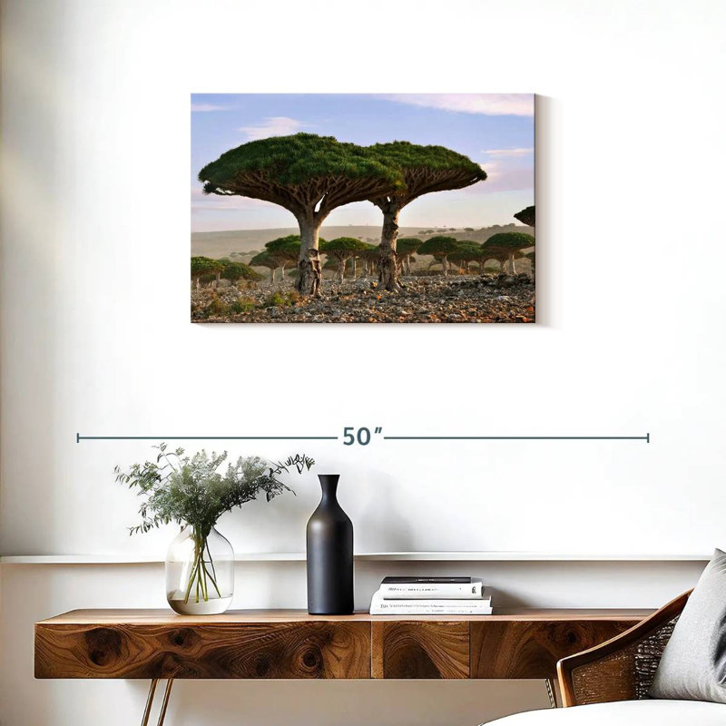 Alvord deux sapins Socotra, H 20 po x l 30 po