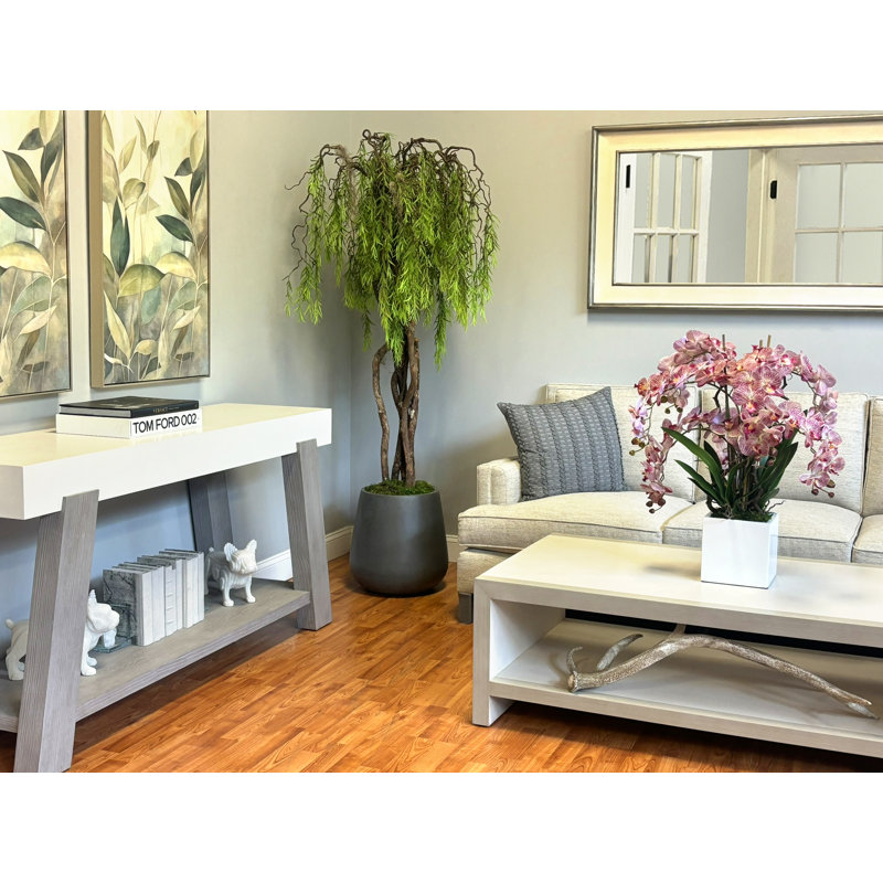 Pink Orchids Arranges in Square Fiberstone Planter