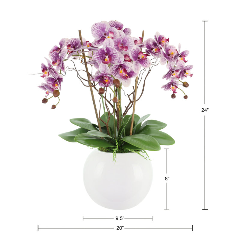 Orchidées disposées dans un pot rond en fibre de pierre, Purple