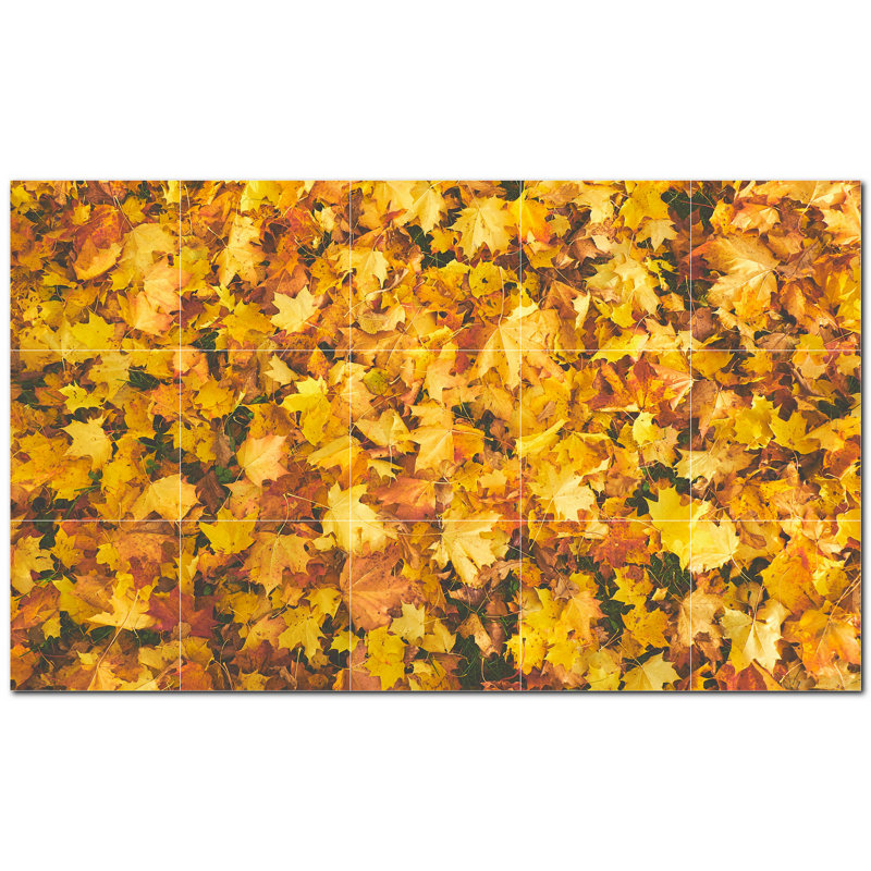 Photo d'automne 6 x 6
