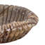 Vanguard Bowl Brown