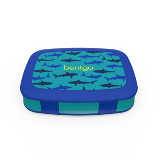 Boîtes à bento Shark Kids