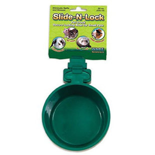 Pet Bowl