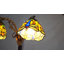 Applique murale vitrail 2 lumières style Tiffany