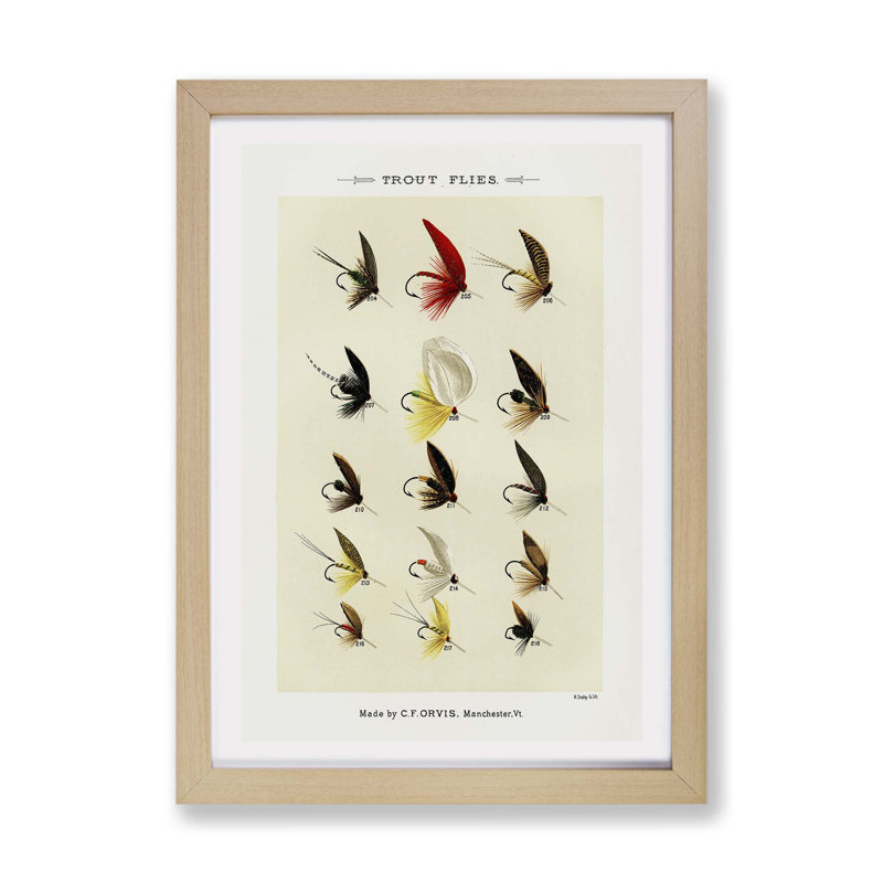 Trout Fishing Flies Version 2 by Mary Orvis Marbury - Framed Print, Oak, 33cm H x 45cm W x 2cm D