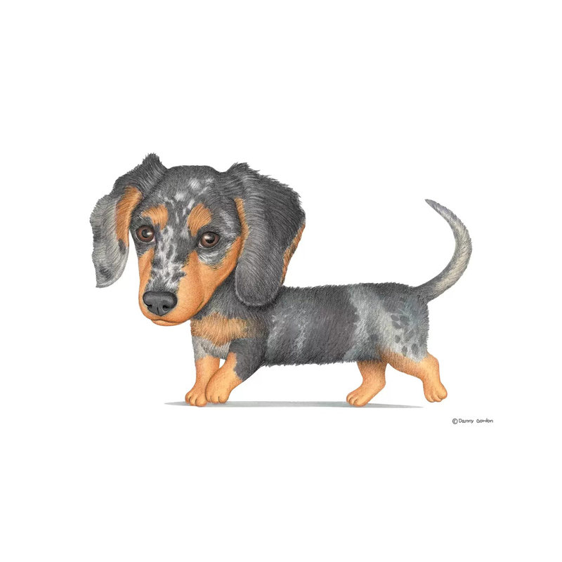 Dachshund 1 Piece Wrapped Canvas Wall Art, 101.6 cm H x 66.04 cm W x 3.175 cm D