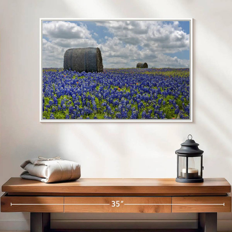 Texas Bluebonnets, Cadre flottant blanc, 25 po x 17 po