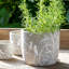 Planter-309982707