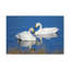 No Frame Print on Canvas-2142763915