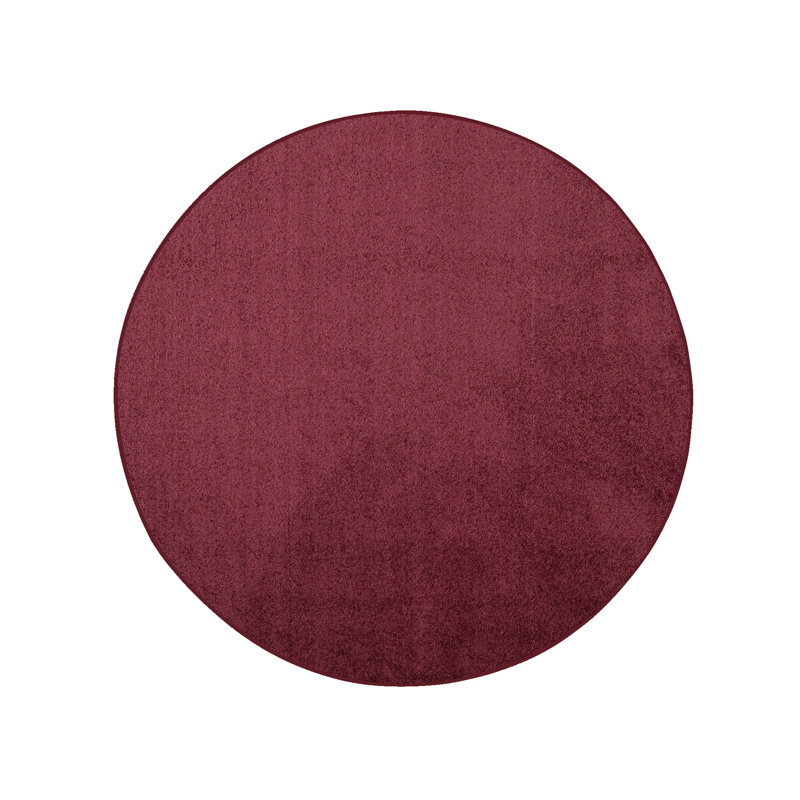Modern Plush Pet and Kids Friendly Solid Color Area Rugs, Stain & Fade Resistance, Bedroom, Playroom and Kidsroom, Event, Wedding, Perfect for Living Room, Dining Room, Cranberry Rug