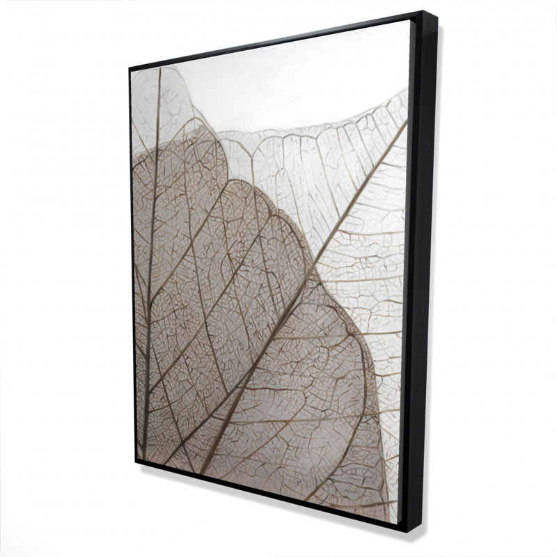 Feuilles translucides séchées - Toile encadrée 36 po x 48 po