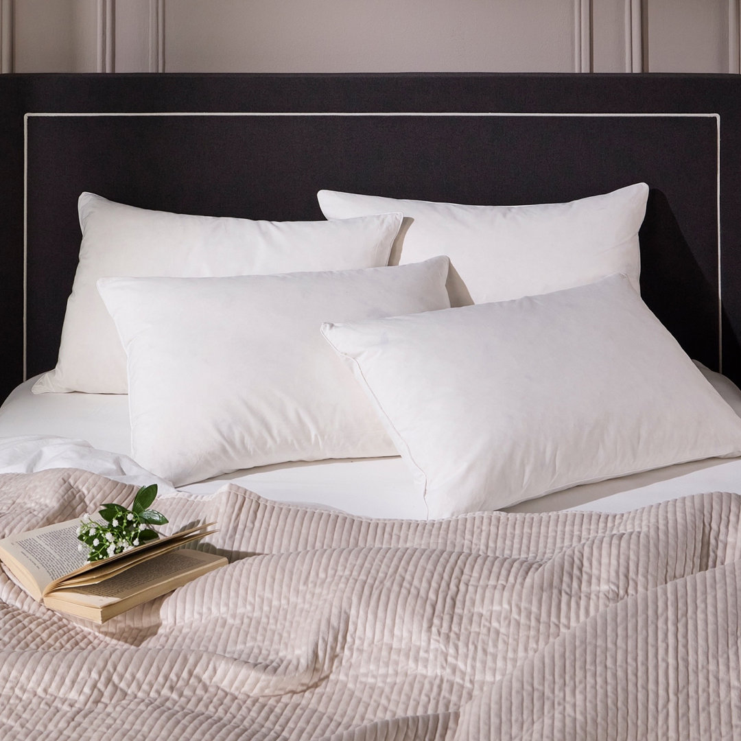 Wayfair UK