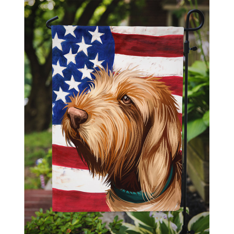 Polyester à 2 côtés 15 x 11 po drapeau de jardin, Griffon fauve de Bretagne