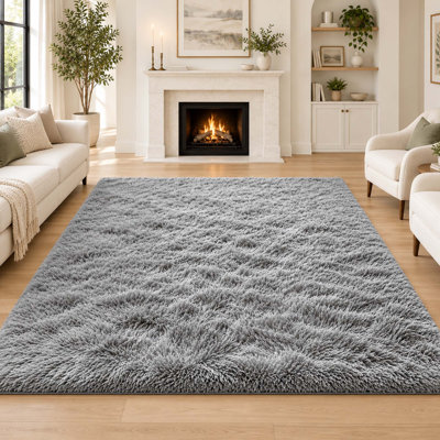 Indoor Rug