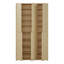 Saabir 36 Pair Shoe Storage Cabinet