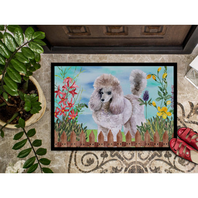 Non-Slip Outdoor Doormat