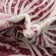 Herricks Floral Indoor Rug
