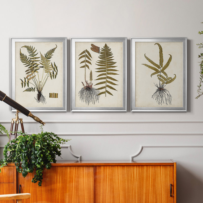 Fern Botanical IV - Ensemble de 3 peintures sur toile encadrées, H 30,5 po x l 127,5 po x P 4,5 po, Argent